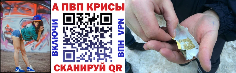 Купить Краснообск A PVP СК КРИС