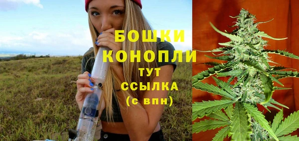 СК Осинники