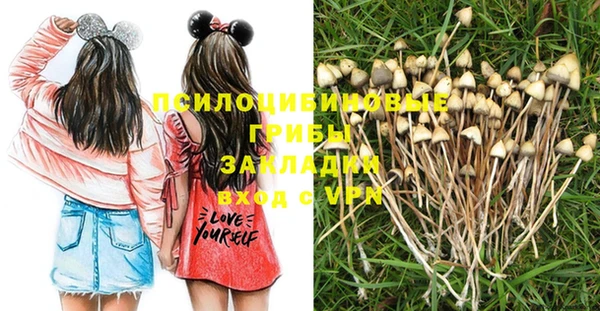 СК Осинники