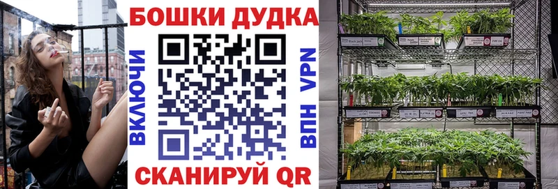 Шишки марихуана тримм  Купить закладки  Краснообск 